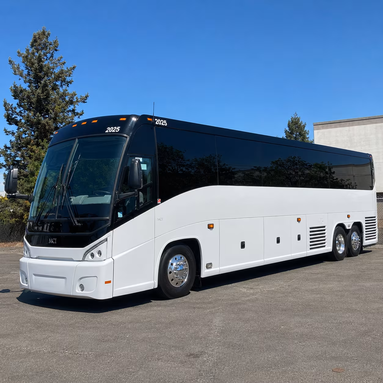 cape coral 56 passenger charter bus